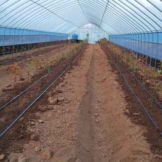 오늘 이순간님의 11월 내 작물 자랑하기 · 참여글 작성글 사진