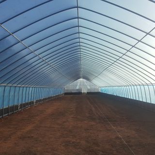 오늘 이순간님의 11월 내 작물 자랑하기 · 참여글 작성글 사진