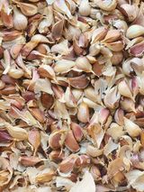 팜모닝 11월 내 작물 자랑하기·참여글 게시글 이미지