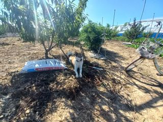 신비복숭아님의 11월 내 작물 자랑하기 · 참여글 작성글 사진