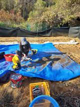 팜모닝 11월 내 작물 자랑하기·참여글 게시글 이미지