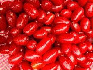 시금치8629님의 11월 내 작물 자랑하기 · 참여글 작성글 사진