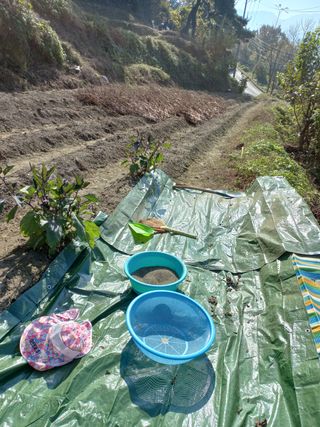 사무니님의 들깨 · 영농일지 작성글 사진