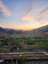 팜모닝 콩·자유게시판 게시글 이미지