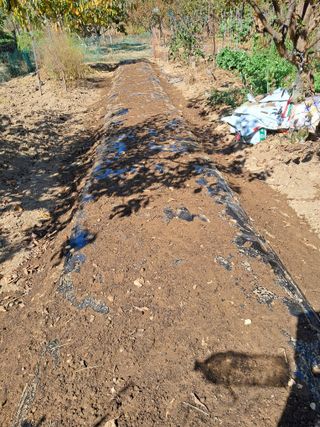 낙엽교목류21691님의 자유주제 · 자유게시판 작성글 사진