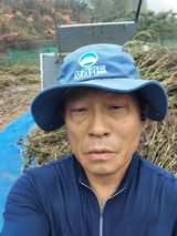 팜모닝 들깨·영농일지 게시글 이미지