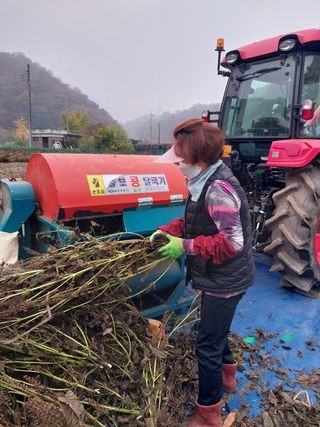 류남열님의 들깨 · 영농일지 작성글 사진