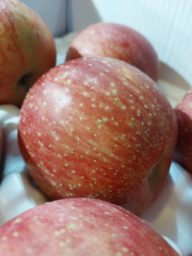 장터 상품 [정품+흠과 부사 10kg ] 썸네일