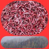 팜모닝 장터이야기·자유게시판 게시글 이미지