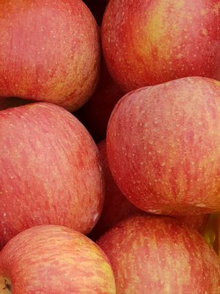 선비화님의 11월 내 작물 자랑하기 · 참여글 작성글 사진