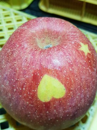 선비화님의 11월 내 작물 자랑하기 · 참여글 작성글 사진