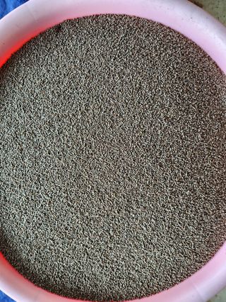 조태현님의 11월 내 작물 자랑하기 · 참여글 작성글 사진