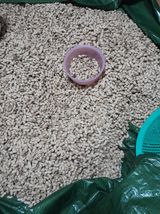 팜모닝 11월 내 작물 자랑하기·참여글 게시글 이미지