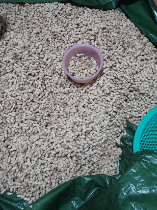 노태호님의 11월 내 작물 자랑하기 · 참여글 작성글 사진