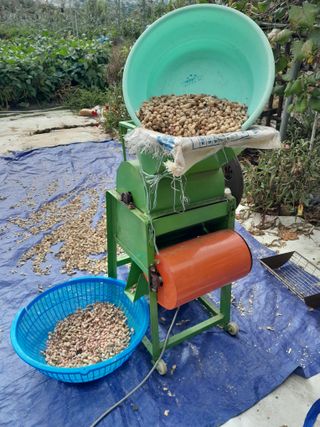 노태호님의 11월 내 작물 자랑하기 · 참여글 작성글 사진