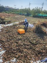 팜모닝 자유주제·자유게시판 게시글 이미지