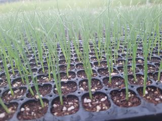 김권중님의 11월 내 작물 자랑하기 · 참여글 작성글 사진