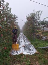 팜모닝 11월 내 작물 자랑하기·참여글 게시글 이미지