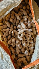 팜모닝 장터이야기·자유게시판 게시글 이미지