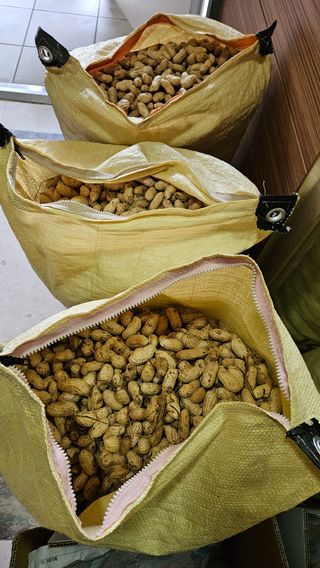 홍&이님의 장터이야기 · 자유게시판 작성글 사진