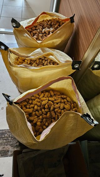 홍&이님의 장터이야기 · 자유게시판 작성글 사진