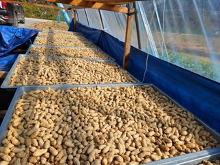 홍&이님의 장터이야기 · 자유게시판 작성글 사진