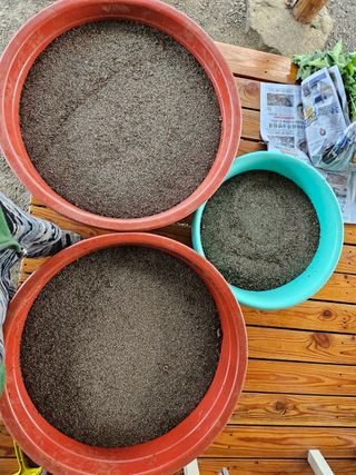 홍&이님의 장터이야기 · 자유게시판 작성글 사진