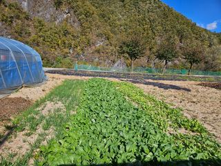 홍&이님의 장터이야기 · 자유게시판 작성글 사진