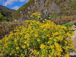 홍&이님의 장터이야기 · 자유게시판 작성글 사진