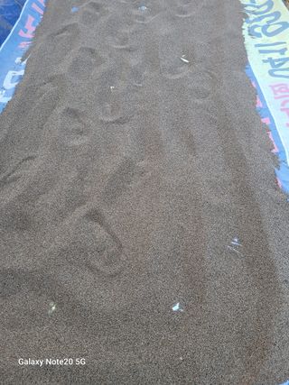 藝園님의 들깨 · 자유게시판 작성글 사진