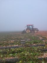 팜모닝 자유주제·자유게시판 게시글 이미지