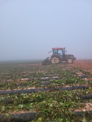 이원우님의 자유주제 · 자유게시판 작성글 사진