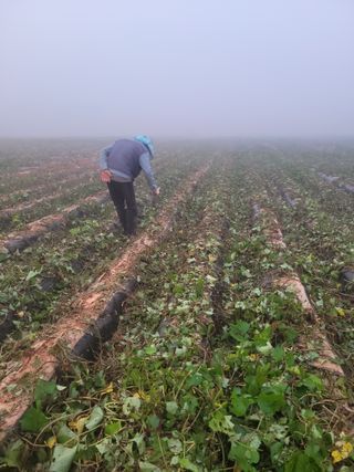 이원우님의 자유주제 · 자유게시판 작성글 사진
