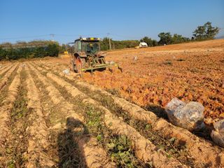 이원우님의 자유주제 · 자유게시판 작성글 사진
