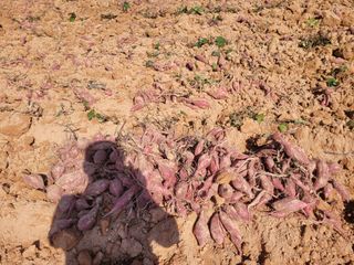 이원우님의 자유주제 · 자유게시판 작성글 사진