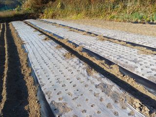 김 연님의 매일매일 농사공부 · 자유게시판 작성글 사진