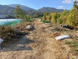 김 연님의 매일매일 농사공부 · 자유게시판 작성글 사진