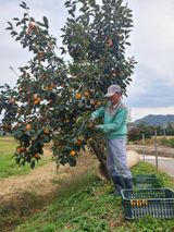 팜모닝 11월 내 작물 자랑하기·참여글 게시글 이미지