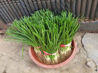 김흥환 님의 양파 · 영농일지 작성글 사진