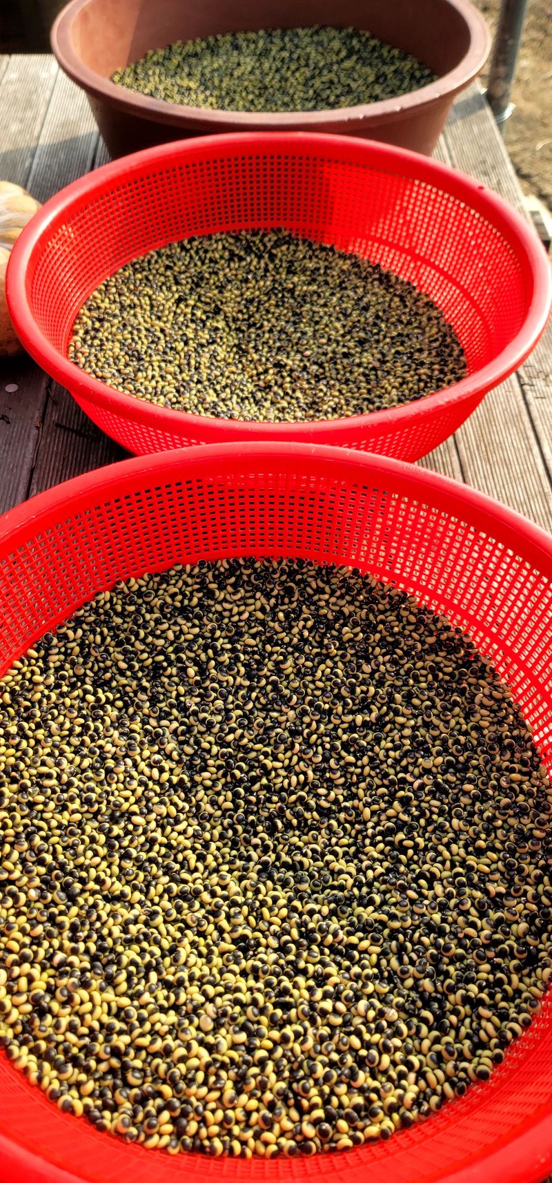 산조아자연인님의 장터 판매 상품 [선비콩 1kg(판매완료)] 첨부 사진