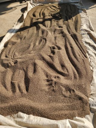 김육환님의 작성글 사진