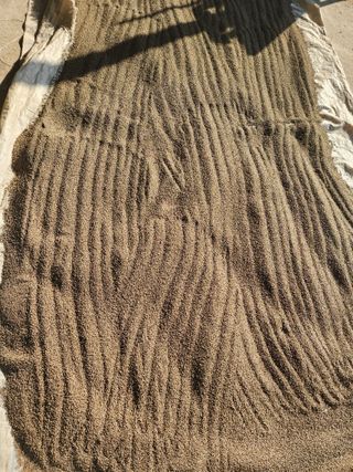 김육환님의 작성글 사진