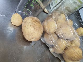 판넬공작사님의 감자 · 자유게시판 작성글 사진