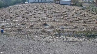 반디불 농원님의 11월 내 작물 자랑하기 · 참여글 작성글 사진