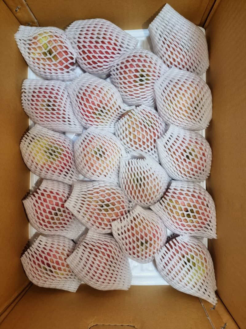 호랑이와인성이님의 장터 판매 상품 [미안마부사 5~10kg한정판매] 첨부 사진