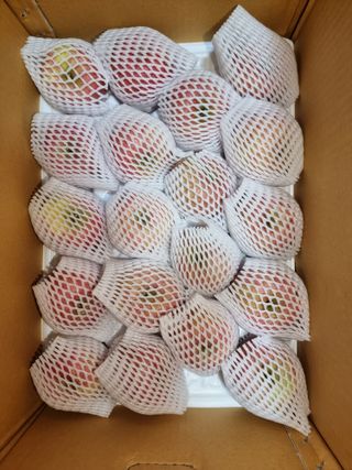 호랑이와인성이님의 작성글 사진