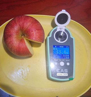 호랑이와인성이님의 작성글 사진