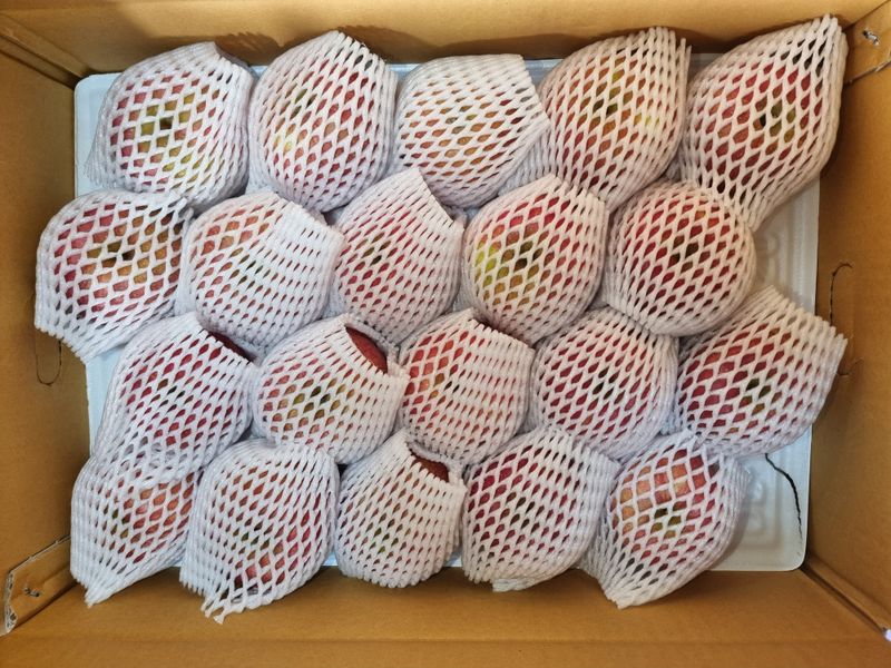 호랑이와인성이님의 장터 판매 상품 [미안마부사 5~10kg한정판매] 첨부 사진