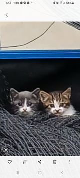 팜모닝 11월 내 작물 자랑하기·참여글 게시글 이미지