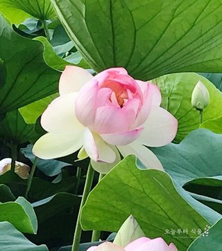 혁이네농원님의 11월 내 작물 자랑하기 · 참여글 작성글 사진